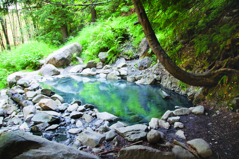 Olympic Hot Springs photo by Ken Reppart Washington Waterfalls, Washington Nature, Washington State Parks, Washington Hikes, Orcas Island, Rainier National Park, Spring Resort, Winter Getaway, Olympic National Park