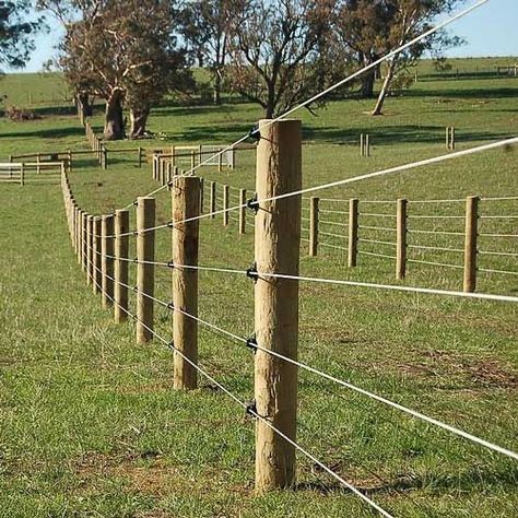 Livestock Fence, Ranch Fencing, Pasture Fencing, Horse Fence, Horse Farm Ideas, Horse Paddock, Horse Barn Ideas Stables, Horse Shelter, Dream Horse Barns