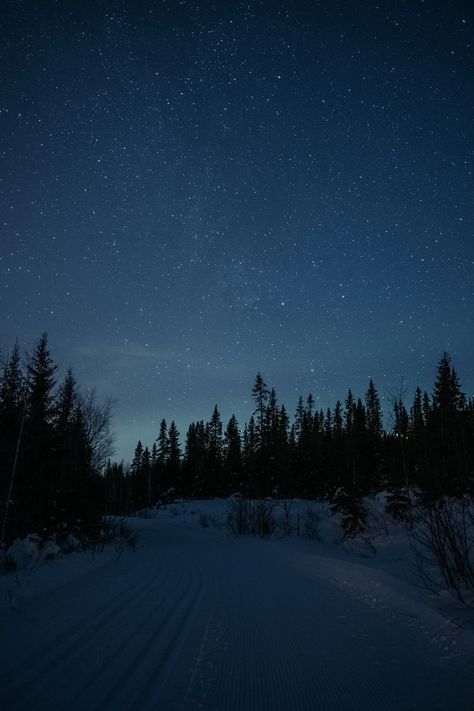 Road Wallpaper, Beautiful Winter Pictures, Snow Night, Blue Aesthetic Dark, Snow Forest, Tumblr Backgrounds, Night Forest, Night Pictures, Forest Road