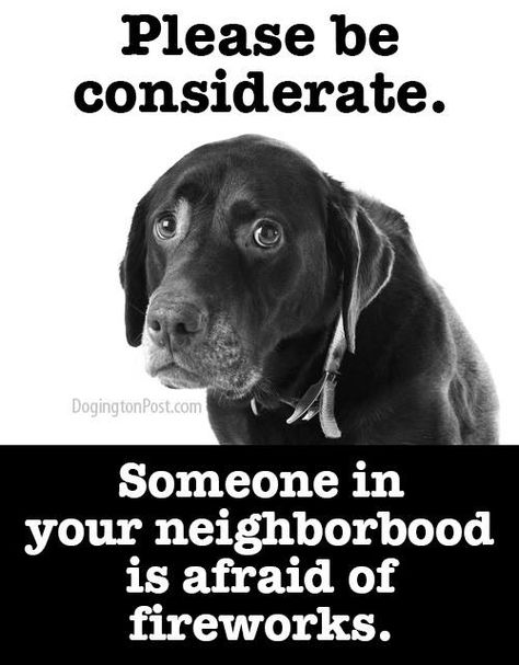 Fireworks Quotes, Dogs And Fireworks, Animal Lover Quotes, Animal Doctor, Dog Health Tips, Dog Help, Animal Adoption, Dog Safety, Bad Dog