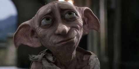 Dobby from Harry potter | Dogs That Look Just Like Dobby Dobby Harry, Harry Potter Quiz, Dobby Harry Potter, Buku Harry Potter, Images Harry Potter, Harry Potter Hermione, Elf House, Harry Potter Wallpaper, Harry Potter Love