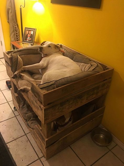 Diy Elevated Dog Bed, Dog Bunk Beds, Katt Grejer, Pallet Dog Beds, Large Dog Bed, Elevated Dog Bed, Dog House Diy, Diy Dog Bed, Dog Crate Furniture