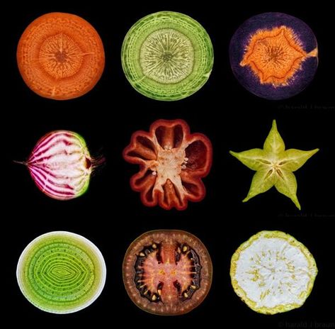 Vegetable cross-sections as art ( not sure if this actually counts as 'science' art, but I like it ) :) Macro Fotografie, Vegetables Photography, Food Inspired, Life Kitchen, Kunst Inspiration, Impressionism Art, Jolie Photo, Natural Forms, Home Room