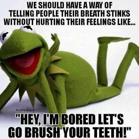 Kermit The Frog Funny, Kermit The Frog Quotes, Kermit The Frog Memes, Madea Quotes, Frog Quotes, Frog Funny, Kermit Funny, Desi Quotes, Funny Expressions