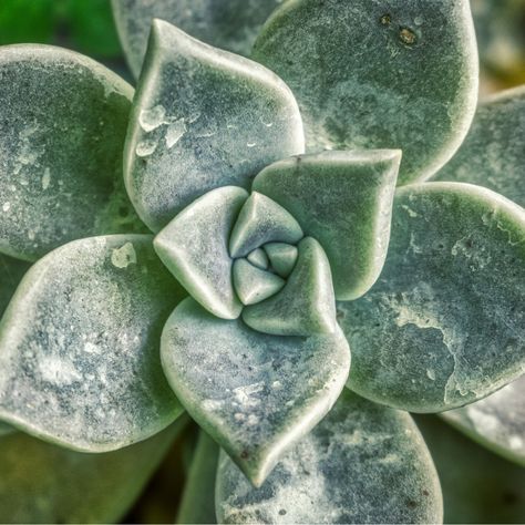 En Envolvis, nos encanta la geometría y encontrar inspiración en la naturaleza que nos rodea. ¿Alguna vez has pensado cómo las formas geométricas están presentes mires donde mires? Desde la perfección de un copo de nieve hasta la simetría de una flor, la geometría es parte de la naturaleza.

Refleja la perfección, la simplicidad, la elegancia i la conexión con la naturaleza.

#inspiracion #naturaleza #geometria #cajasdecarton #cajaspersonalizadas Ceramic Tile, Ceramic Tiles, Tile, Instagram, Design