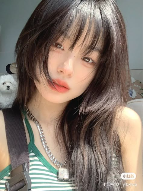 Round Face, Long Hair, Bangs, Teddy Bear, Hairstyles, Hair, Beauty