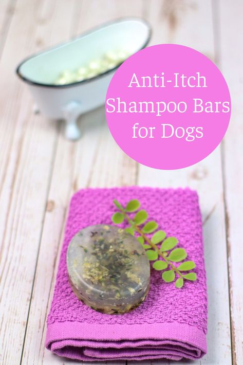 Homemade Dog Soap Recipe, Diy Dog Products, Dog Soap Bar Recipe, Homemade Dog Soap, Dog Shampoo Homemade, Dog Shampoo For Itchy Skin, Dog Shampoo Recipe, Food For Dry Skin, Diy Shampoo Bar