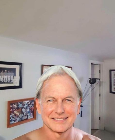 Mark Harmon Recent Pictures, Mark Harmon Video, Mark Harmon Selfie Photo, Mark Harmon Picture 2024, Mark Harmon Family, Masonic Tattoos, Pam Dawber, Dollars Money Wallpaper, Driver Card