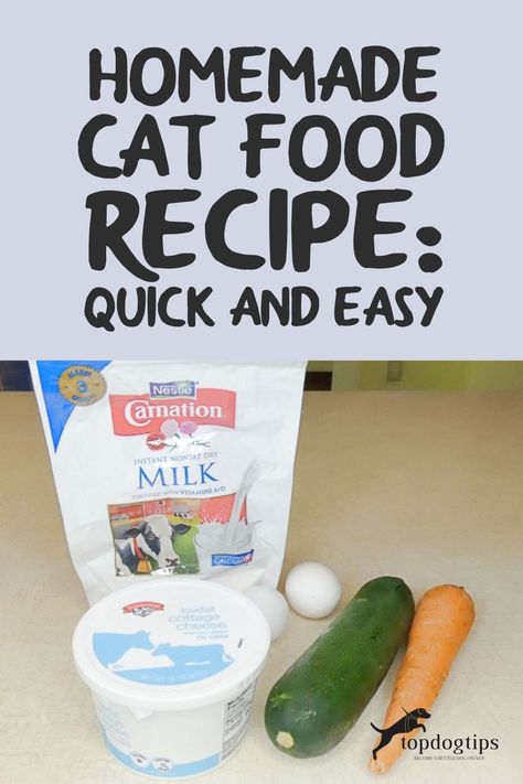 Homemade Healthy Cat Food, Simple Homemade Cat Food, Easy Homemade Cat Food, Homemade Cat Food Recipes Easy, Diy Cat Food Recipe Homemade, Cat Recipes Food, Homemade Cat Food Recipes Vet Approved, Cooked Cat Food Recipes, Diy Cat Food Recipe