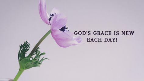 God has grace in store for you every single. Grace is not only unmerited favor from God but also empowerment to reign over sin. Look for His grace today. Daily Blessings, Give Me Jesus, Quotes Prayer, Daily Encouragement, Bible Quotes Prayer, Gods Grace, Powerful Quotes, Bible Inspiration, Empowering Quotes