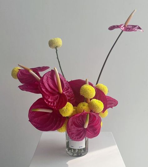 Red Anthurium Arrangement, Small Vase Arrangements, Anthurium Decor, Anthurium Ikebana, Anthurium Colors, Anthurium Flower Arrangement, Pink Wedding Arrangements, Pink Arrangements, Anthurium Arrangement