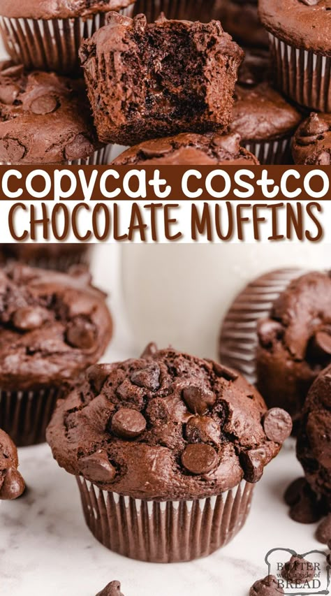 Copycat Costco Chocolate Muffins taste just like the amazing double chocolate muffins from Costco. Easy chocolate chocolate chip muffin recipe that everyone loves! Costco Muffins, Double Chocolate Muffin Recipe, Double Chocolate Chip Muffins, Chocolate Chip Muffin Recipe, Chocolate Muffin Recipe, Double Chocolate Muffins, Torte Cupcake, Chocolate Chip Muffins, Chocolate Muffins