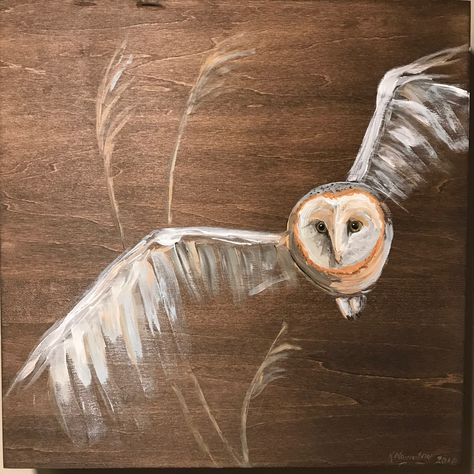 Flying Barn Owl Acrylic Abstract Painting on Wood Owl In Flight Painting, Owl Painting Abstract, Flying Owl Painting, Acrylic Painting Owl, Painting Owls Acrylic, Owl Painting Easy, Owl Acrylic Painting, Flying Painting, Owl Mural