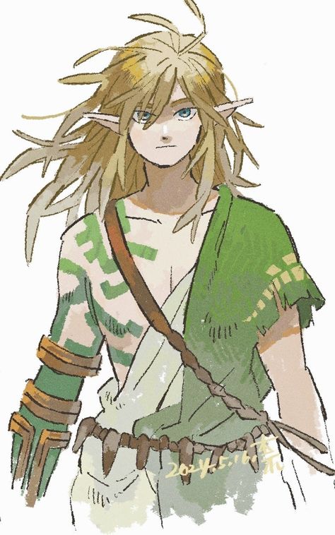 Hyrule Warriors Link Fanart, Totk Link Fanart, Link Zelda Totk, Link Botw Fanart, Zelda Totk Fanart, Hyrule Warriors Link, Link Fanart, Zelda Fanart, Zelda Totk