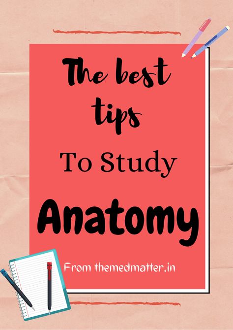 Anatomy For Medical Students, Study For Anatomy And Physiology, Best Way To Study Anatomy, Anatomy Notes Studying Medical Students, How To Study Anatomy And Physiology, Mbbs Student Tips, How To Learn Anatomy, Anatomy And Physiology Study Tips, Anatomy And Physiology Notes Study