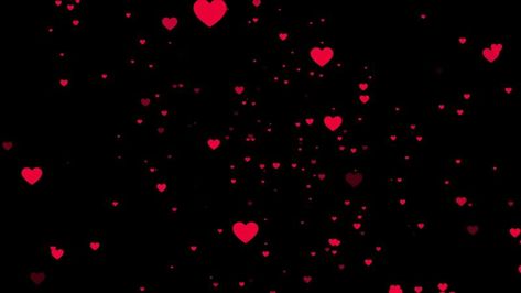 lot of red heart shape animation particles on black background, red love floating romantic background 4k video for special event Particles Overlay Video, Shape Animation, Background 4k, Romantic Background, Red Love, Tree Saw, Wedding People, Heart Tree, 4k Video