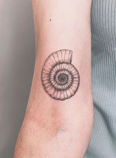 Ammonite Tattoo - Get an InkGet an Ink Shell Fossil Tattoo, Ammonite Tattoo Fossil, Crinoid Tattoo, Ammonite Drawing, Fern Shoulder Tattoo, Spiral Shell Tattoo, Tattoo Ocean Theme, Nautilus Shell Tattoo, Ammonite Tattoo