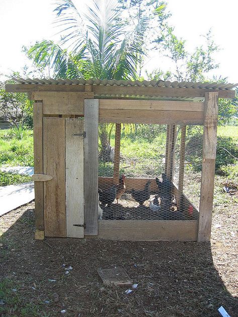 Homemade Chicken Coop, Chicken House Plans, Cheap Chicken Coops, Easy Chicken Coop, Portable Chicken Coop, Chicken Pen, Coop Design, Best Chicken Coop, Chicken Coop Designs