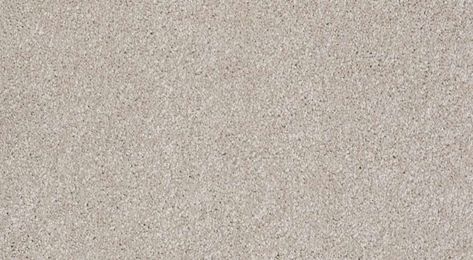 Shaw Floors - Style: Peachtree I HGN76 - Color: 00106 Greige Greige Carpet Bedroom, Greige Carpet, Shaw Floors, Carpet Texture, Flooring Ideas, Boys Bedroom, Boys Bedrooms, Carpet Colors, Carpet Design