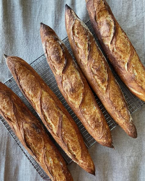 Sourdough Baguette Recipe, Sourdough Baguettes, Sourdough Baguette, The Perfect Loaf, Baguette Recipe, Sourdough Bread Starter, Sourdough Starter Discard Recipe, Sourdough Pancakes, Baguette Bread