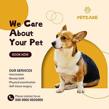 pet,pet shop,nursing,care,service,dog,pet service,pet sitting,animals,services,banner,poster,animal,background,illustration,cute,art,graphic,symbol,domestic,happy,puppy,design,funny,vector,cartoon,canine,isolated,breed,mammal,drawing,character,nature,sign,white,brown,icon,friend,fun,purebred,flat,smile,card,element,love,wallpaper,small,orange,corgi,lovely,head,portrait,child,logo,welsh,modern,friendly,red,concept Pet Shop Poster Design, Mammal Drawing, Pet Care Logo, Pet Branding, Animal Background, Cafe Posters, Poster Animal, Head Portrait, Awareness Poster