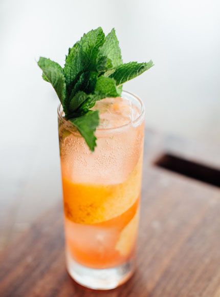 Gin Drink Recipes, Campari And Soda, Ginger Cocktails, Mint Cocktails, Gin Cocktail Recipes, Mint Sprig, Recipe 30, Club Soda, Fresh Mint Leaves