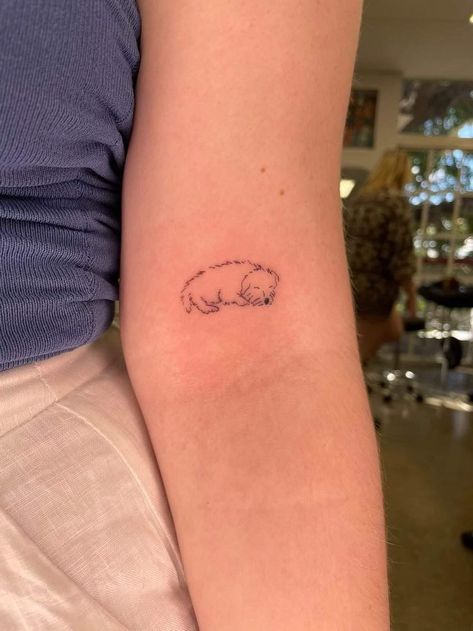 Your Dog Tattoo Ideas, Cute Dog Tattoos Simple, Fineline Pet Tattoos, Two Dogs Together Tattoo, Cute Dainty Dog Tattoos, Goldendoodle Tattoo Ideas Minimalist, Fine Like Dog Tattoo, Curly Dog Tattoo, Tatoos Dogs Ideas