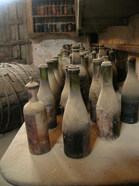 Wine Shots, Antique Wine Bottles, Vine Bottle, Old Wine Bottle, Poison Bottle, Old Wine Bottles, The Old Curiosity Shop, Old Glass Bottles, Antique Glass Bottles