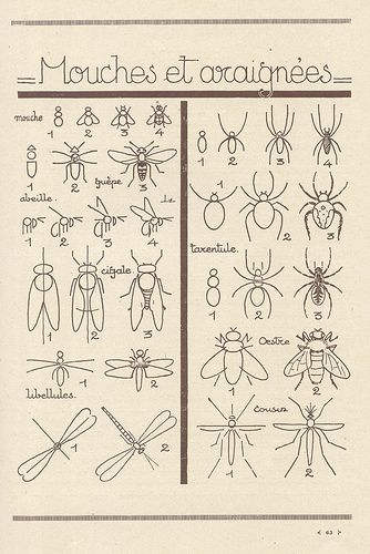 les animaux 30 | Explore pilllpat (agence eureka)'s photos o… | Flickr - Photo Sharing! How To Draw Insects, Bujo Doodles, Insect Art, Quilt Stitching, Nature Study, Art Instructions, Old Book, Drawing Lessons, Teaching Art