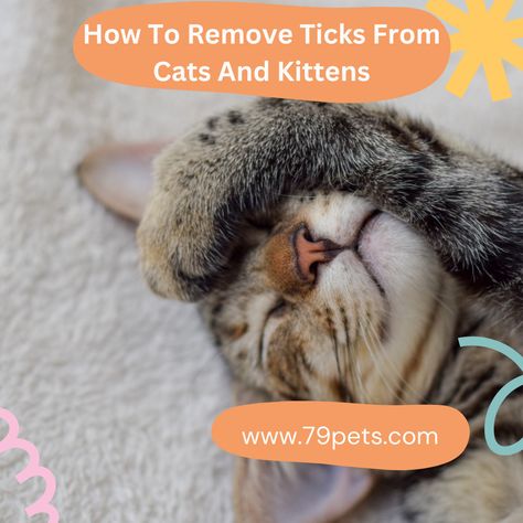 How To Remove Ticks From Cats And Kittens Tick Removal, Tick Prevention, Pet Safety, How Do I Get, Cat Care, Pet Health, Ticks, For Cats, Step Guide