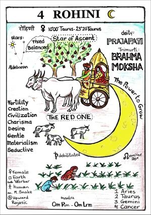 Rohini Nakshatra, Aquarius Funny, Vedic Astrology Charts, Medical Astrology, Astronomy Constellations, Jyotish Astrology, Moon Astrology, Astrology Books, Yoga Poster