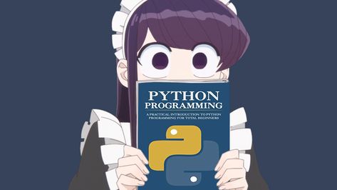 .net Programming, Anime Programmer, Compsci Aesthetic, Anime Programming, Coding Girl, Programming Aesthetic, Computer Science Women, Programming Books, Programming Humor