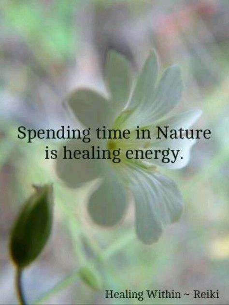 Nature Is Healing, Citation Nature, Spending Time In Nature, Essential Oils Kit, Time In Nature, Healing Energy, Intp, Nature Quotes, Intj