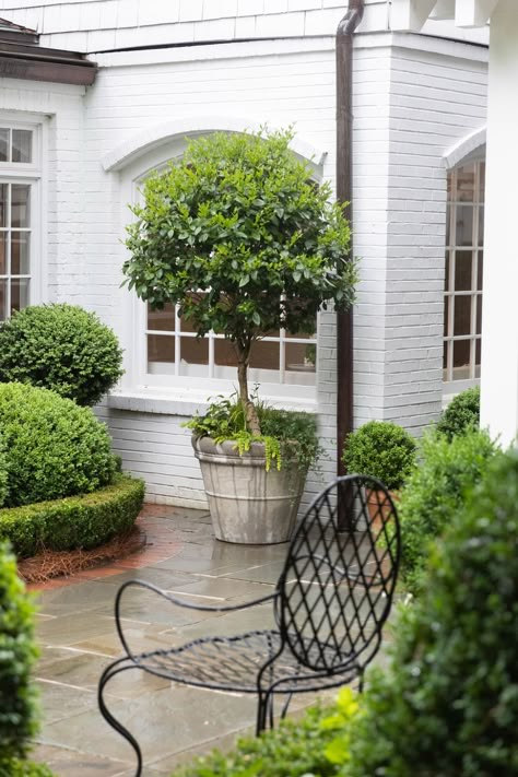 Pretty Courtyards, Interior Design Colonial, Patio Paradise, 1930s Home, First Garden, Glam Pad, Beautiful Home Gardens, Buckhead Atlanta, Home Classic