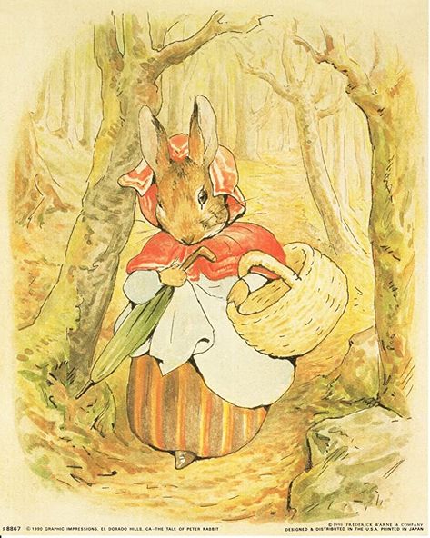 Peter Rabbit Pictures, Beatrix Potter Illustrations, Tale Of Peter Rabbit, Peter Rabbit And Friends, Picture Poster, Retro Theme, Kids Room Wall Decor, Kids Room Wall, Beautiful Posters