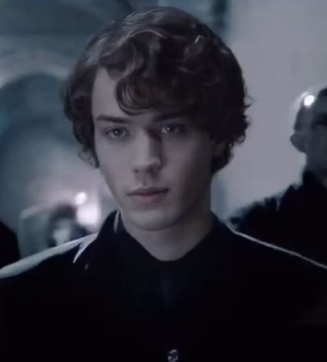 Young Tom Riddle, Christian Coulson, Stile Harry Potter, Tom Marvolo Riddle, Tom Hughes, Mattheo Riddle, Harry Potter Icons, Slytherin Boys, Slytherin Harry Potter