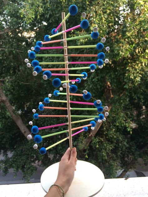 DNA model - made of sticks, straws, and clay. Dna Structure Model, Biology Model, Dna Model Project, Dna E Rna, Dna 3d, Dna Facts, Projects Science, Dna Project, Clay Models