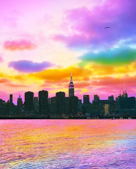 New York Artist Covers Pictures In Rainbows Because Everything Is Better With Lots Of Color Multicolor Aesthetic, Rainbow Pictures, Rainbow Photography, Colorful Aesthetic, Rainbow Aesthetic, Parakeets, Rainbow Wallpaper, Rainbow Art, Beautiful Nature Wallpaper