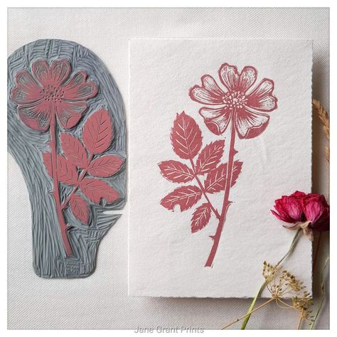 Linoleum Stamps, Flower Lino Print, Flower Linocut, Eraser Art, Linoleum Print, Linocut Printmaking, Lino Art, Hand Carved Stamps, Stamp Carving