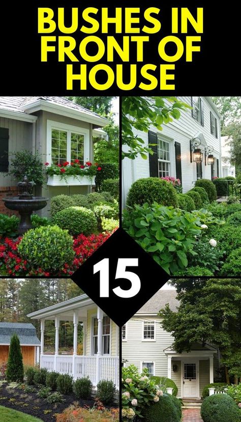 Discover the best bushes for your home's front in 2024, tailored to various architectural styles and maintenance preferences. Learn about low maintenance, farmhouse, modern, and ranch-style bushes that thrive in shade or full sun. Get expert tips on enhancing curb appeal with simple yet effective bush designs.
bushes in front of house Front House Landscaping Ideas Entrance, Front Of House Landscape Ideas Entrance, Front Of House Landscape Ideas Simple, Ranch House Landscaping Front Yards, Bushes In Front Of House, Modern Front Yard Landscaping Ideas, Landscape Ideas Front Yard Curb Appeal, Curb Appeal Landscape, Modern Front Yard Landscaping