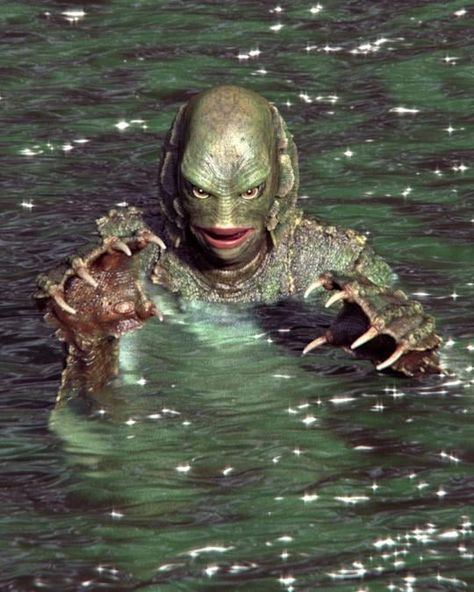 Gill Man Black Lagoon, Classic Movie Monsters, Swamp Monster Costume, Lagoon Aesthetic, Swamp Mermaid, Zombie Monkey, Creepy Old Photos, Hollywood Monsters, Universal Horror