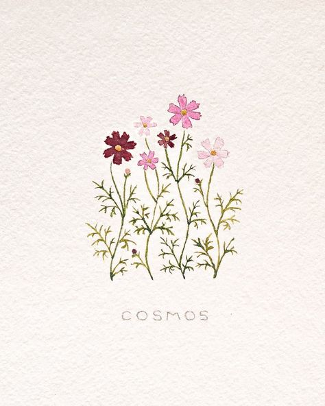 Cosmos Flowers Tattoo, Watercolor Doodle, Cosmos Flowers, Flowers For You, Illustration Artwork, Flower Illustration, Tattoos And Piercings, Cosmos, Piercings