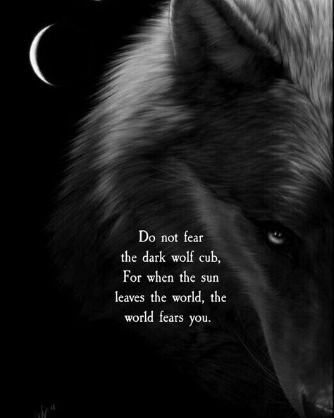 Image may contain: text that says 'Do not fear the dark wolf cub, For when the sun leaves the world the world fears you.' Werewolf Quotes, Wolf Pack Quotes, Wolf Symbolism, Wolf Alpha, Alpha Quote, Lone Wolf Quotes, Wolf Quotes, Wolf Spirit Animal, She Wolf