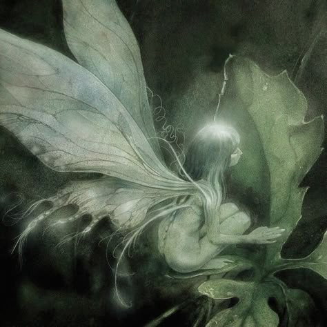 Dark Fairy Core, Fairy Grunge Aesthetic, Dark Fairycore, Fairycore Grunge, Fairycore Aesthetic, Grunge Fairycore, Deco Nature, Dark Green Aesthetic, Fairy Aesthetic