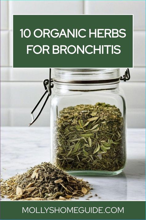 Explore the power of natural remedies for bronchitis. Discover the best herbs for bronchitis treatment and relief, including antitussive herbs and medicinal plants that support lung health. Learn about Ayurvedic treatments and essential oils that can help you get rid of bronchitis without antibiotics. Find effective home remedies to treat bronchitis and ease symptoms. Take charge of your respiratory health with these herbs, plants, and techniques tailored for coughs, lung infections, and bronchi Herbal Remedies For Bronchitis, Herbs For Bronchitis, Bronchitis Cough Relief, Bronchitis Remedies How To Get Rid, Bronchitis Home Remedies, Respiratory Infection Remedies, Natural Remedies For Bronchitis, Remedies For Bronchitis, Medicine Plants