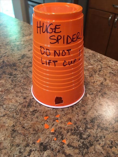 Spider Prank. A harmless prank I pulled on my 10-year old daughter. Funny Neighbor Pranks, Pranks To Pull On Mom, Funny Birthday Pranks At Work, Senior Prank Ideas Harmless, House Sitting Pranks, Funny Car Pranks, Funny Birthday Pranks, Pranks Ideas, Camp Pranks