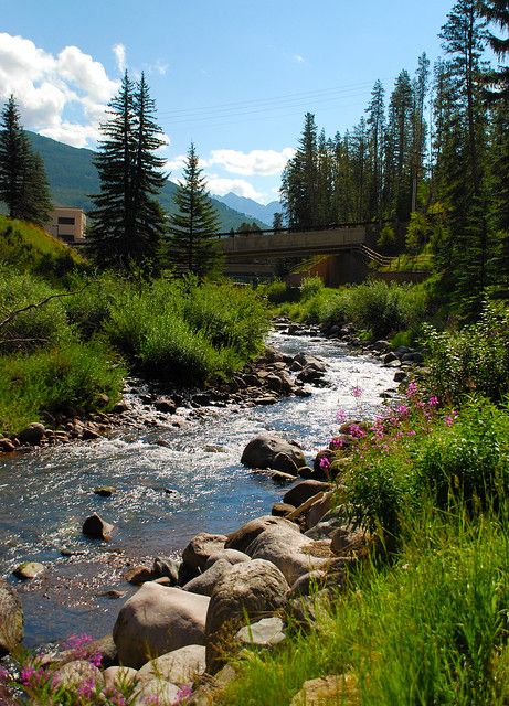 Gore Creek - Vail, Colorado | Greg Francis | Flickr World Most Beautiful Place, Scenery Pictures, Places In The World, Beautiful Photos Of Nature, Jackson Hole, Beautiful Places In The World, Beautiful Mountains, Beautiful Nature Pictures, Beautiful Place