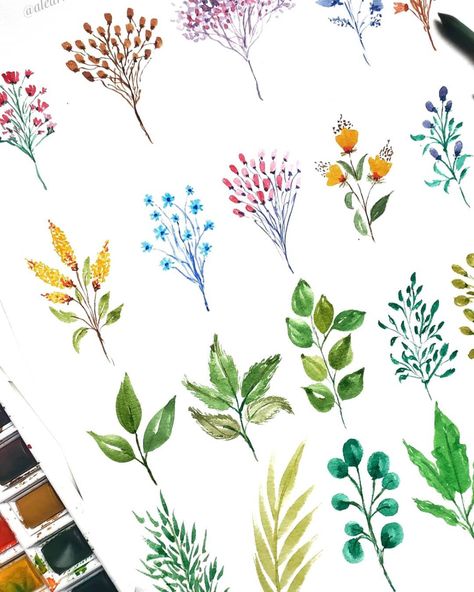 Watercolour floral master class- Loose florals, fillers and leaves (40 elements + 3 class projects) | Viddhi Kantesaria | Skillshare Watercolor Filler Flowers, Loose Watercolor Flowers Watercolour, Watercolour Leaves, Loose Florals, Floral Design Classes, Sketchbook Layout, Watercolor Floral Wallpaper, Filler Flowers, Wallpaper Watercolor