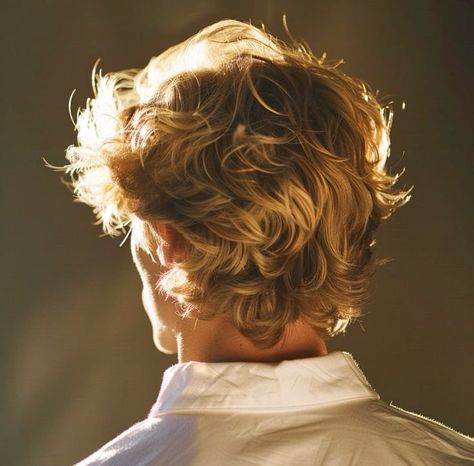 Men With Curly Blonde Hair, Blond Hair Styles Men, Blonde Guy Oc Art, Men Curly Blonde Hair, Curly Blond Haired Boy, Blonde Mafia Man, Blonde Aesthetic Boy, Blond Man Aesthetic, Blonde Hair Boy Aesthetic