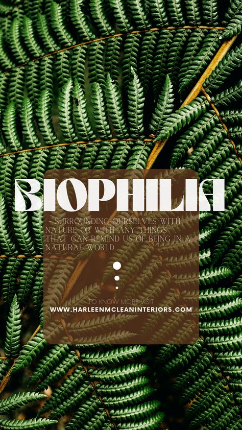 Biophilia Aesthetic, Nature Lover Quotes, The Natural World, The Natural, Natural World, Nature Lover, Things That, Design Art, Nature Photography